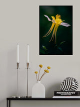 Shining Like Jellyfish Poster och Canvastavla
