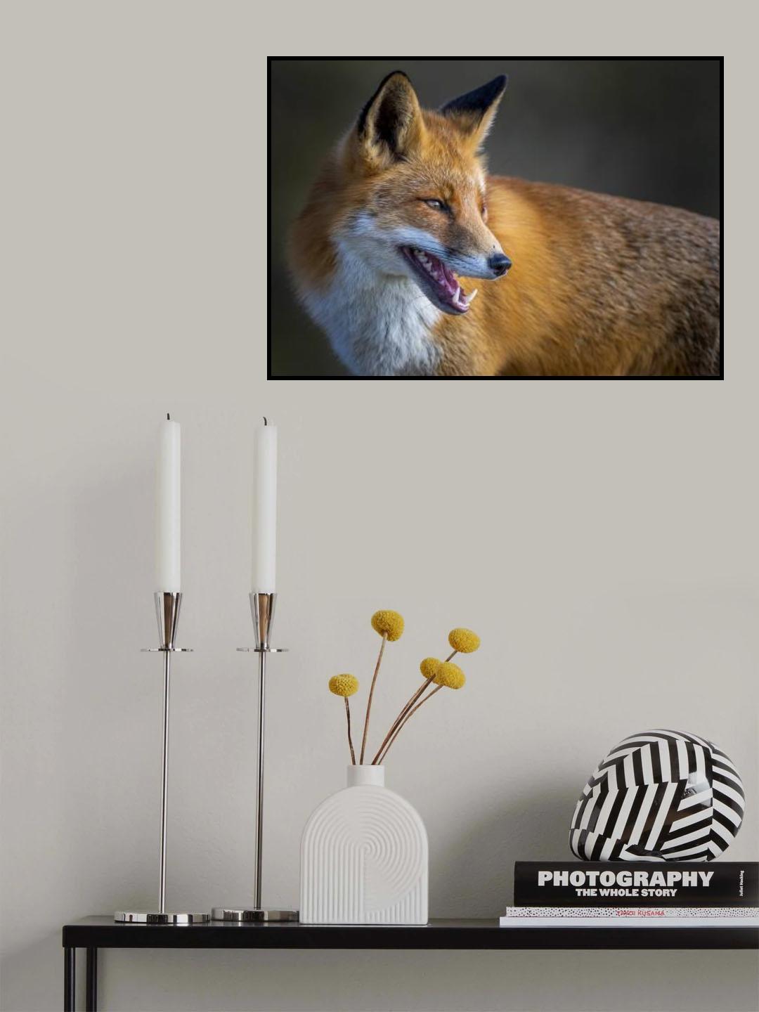 fox Poster och Canvastavla