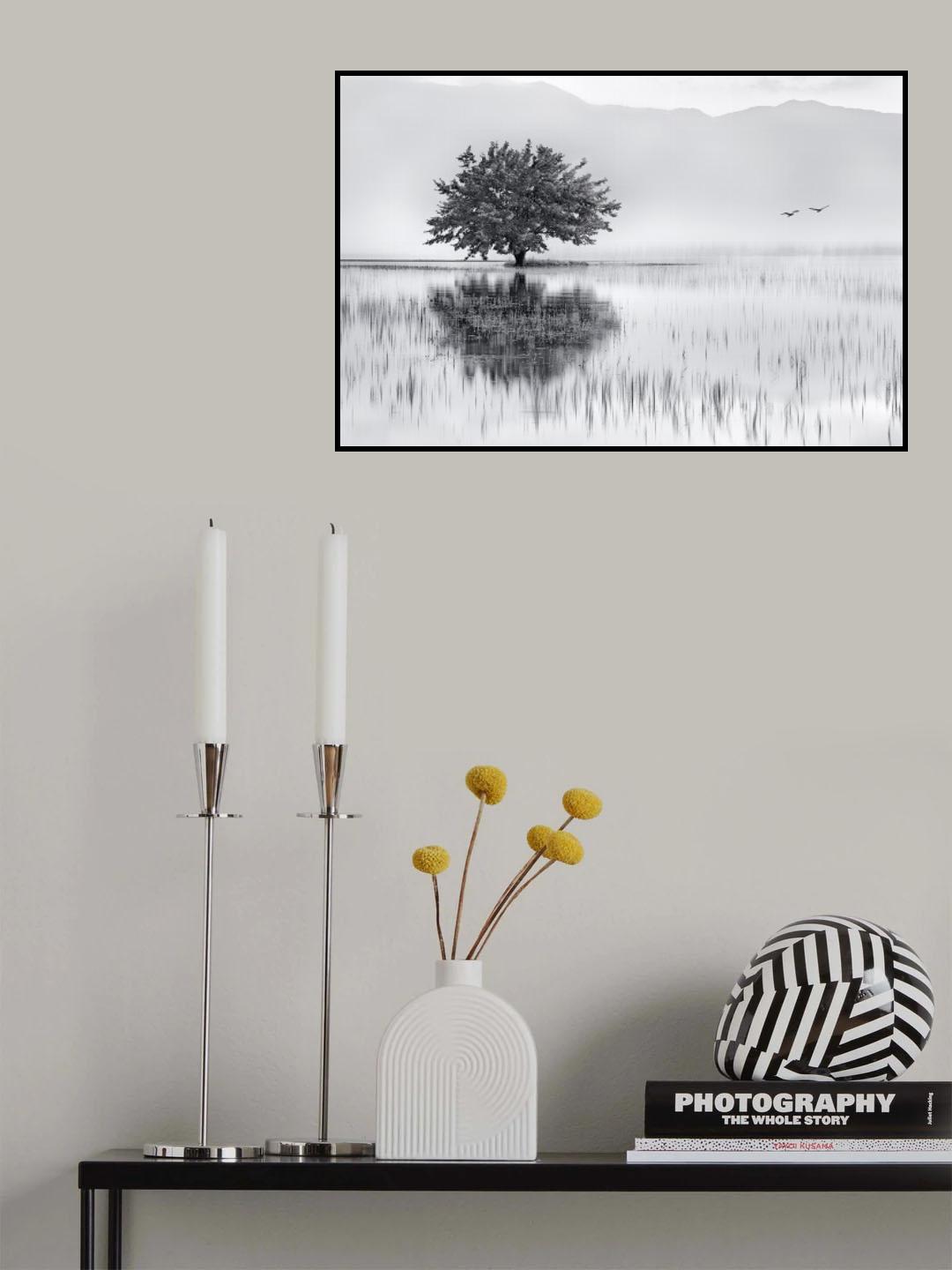 Spring Mirror Poster och Canvastavla