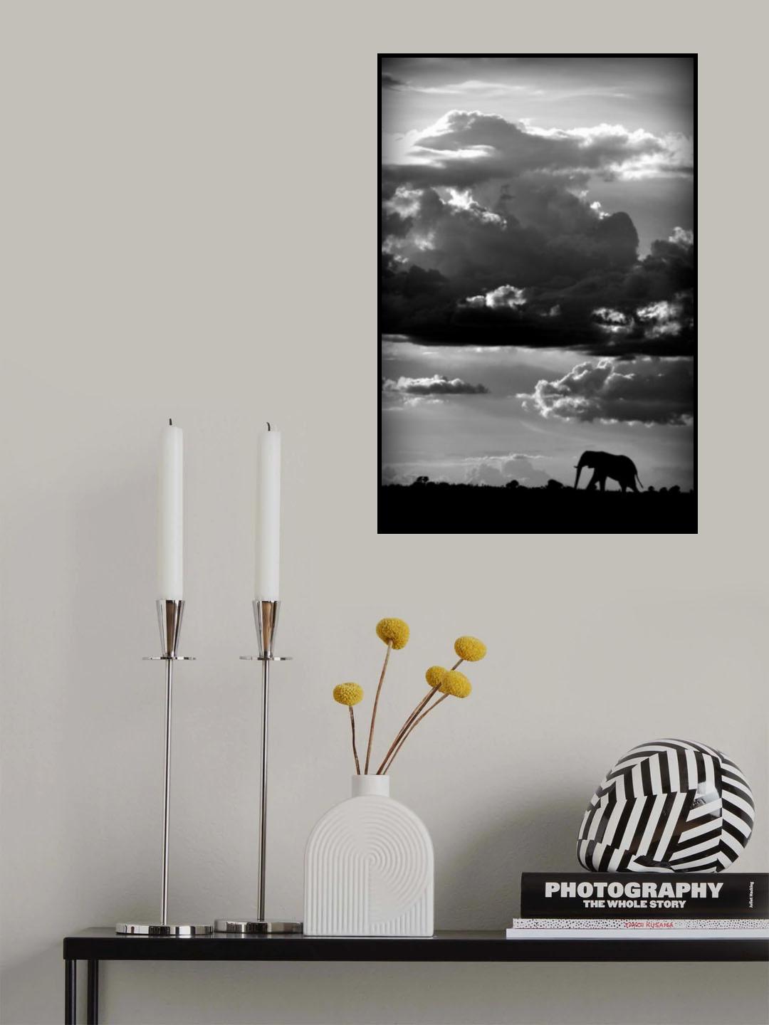 He walks under an African Sky Poster och Canvastavla