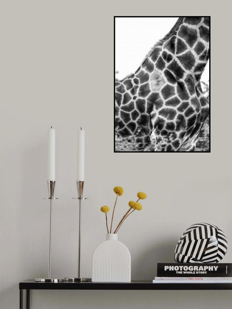 Super Safari No3 Poster och Canvastavla