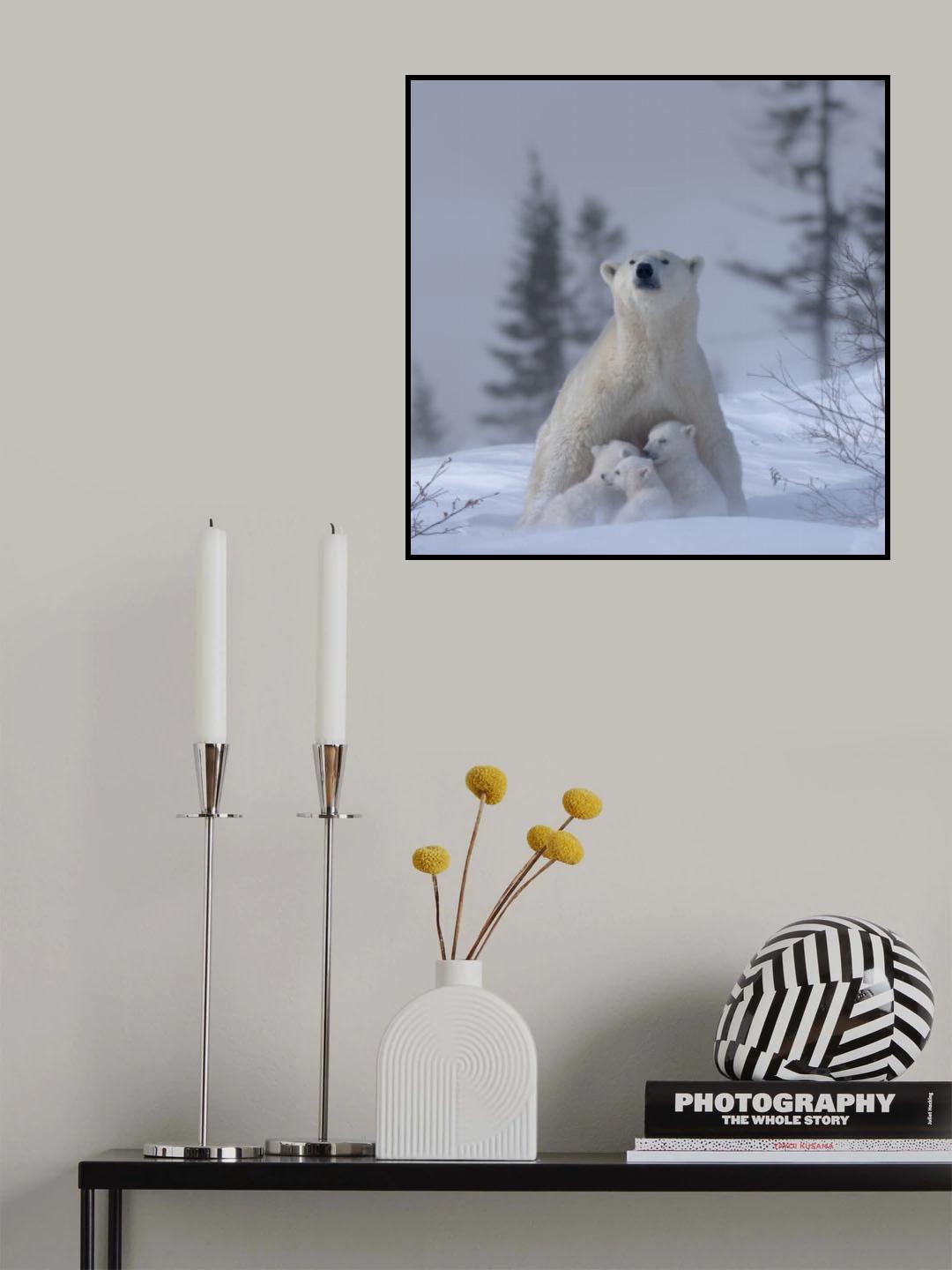 Feeding Poster och Canvastavla