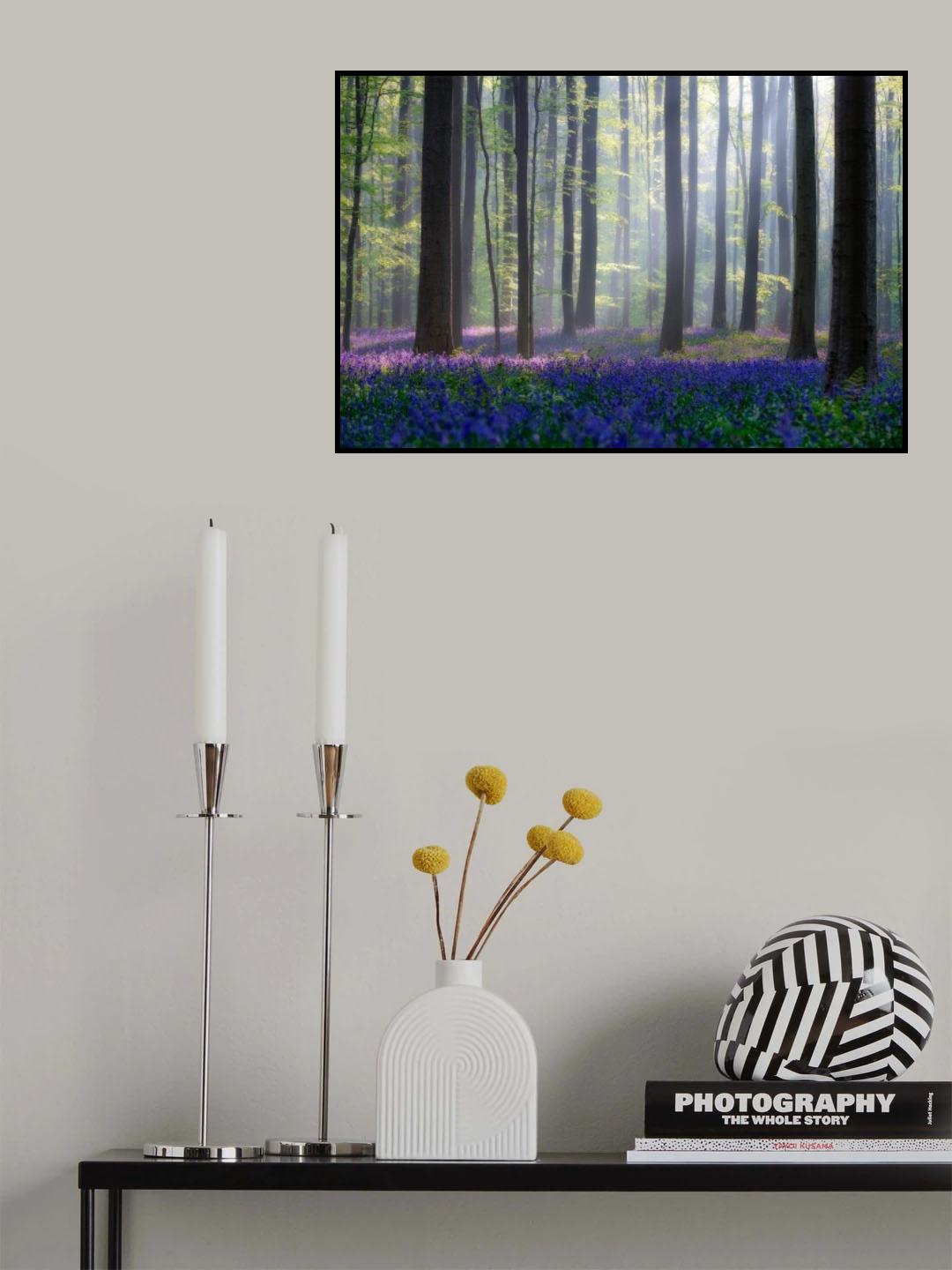 Bluebells Poster och Canvastavla