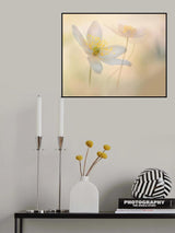 Brigth moments. Poster och Canvastavla