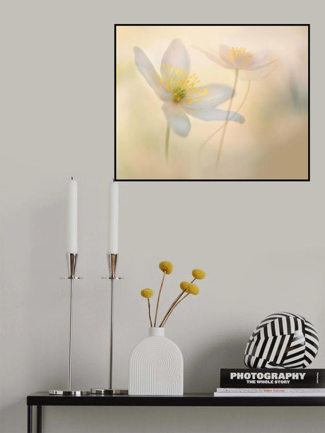 Brigth moments. Poster och Canvastavla
