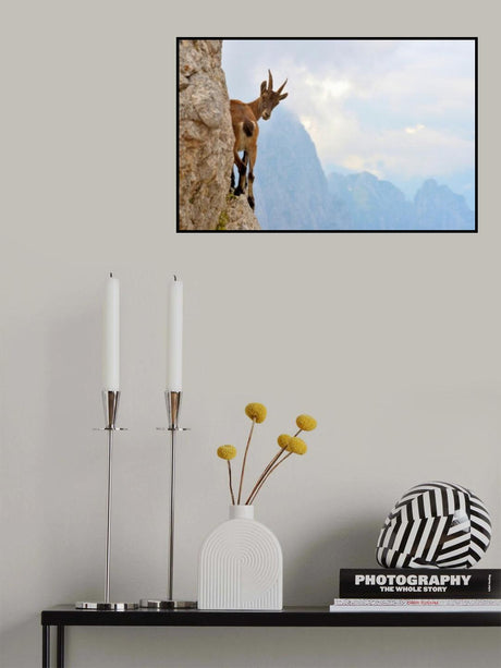 Suspense Poster och Canvastavla