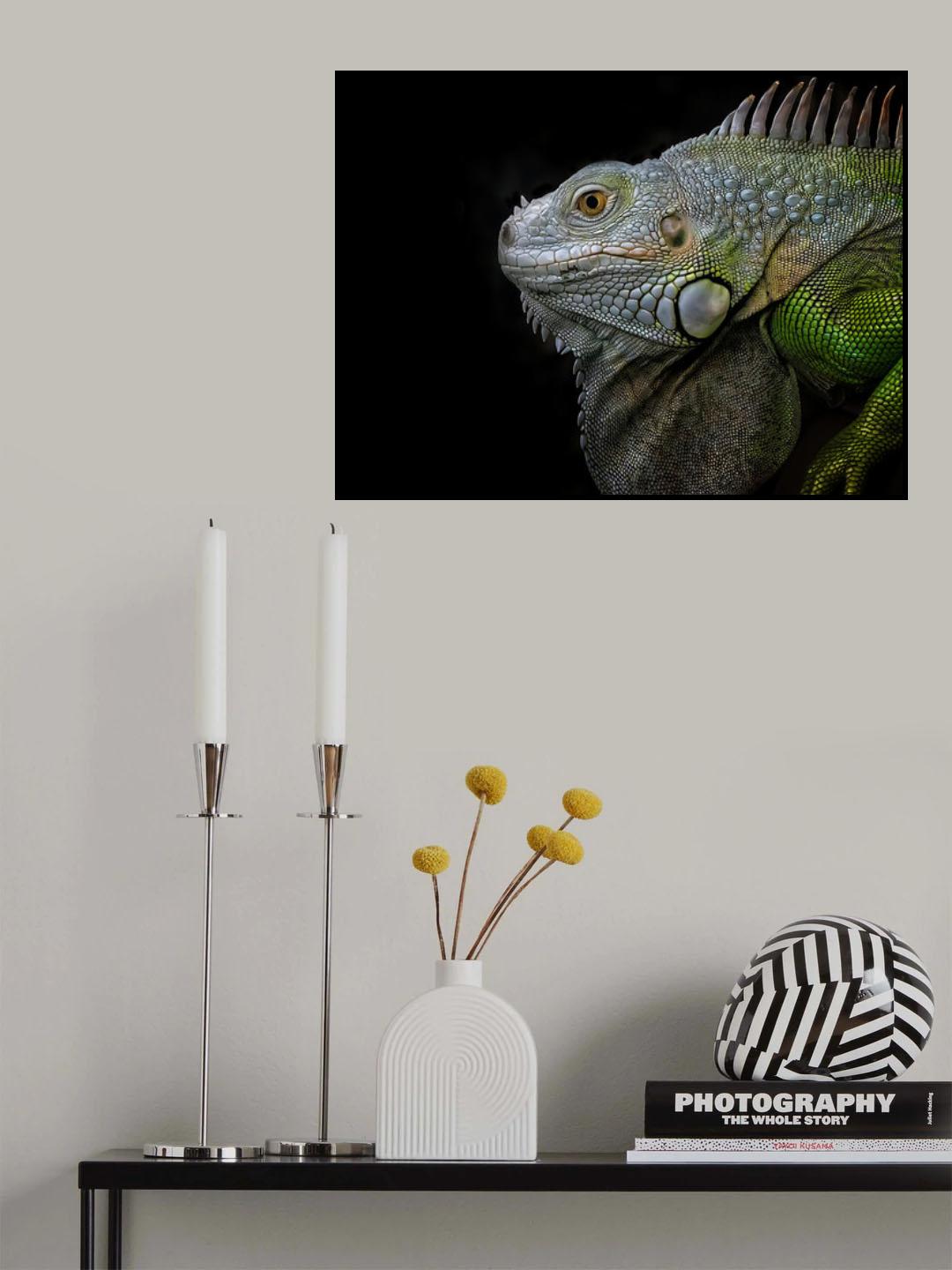 Exotic Green Iguana Poster och Canvastavla