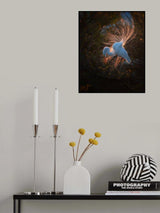The dancer Poster och Canvastavla