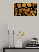 tree stumps in the forest Poster och Canvastavla
