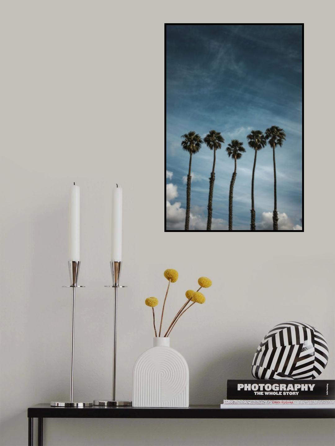 Five Palms Poster och Canvastavla