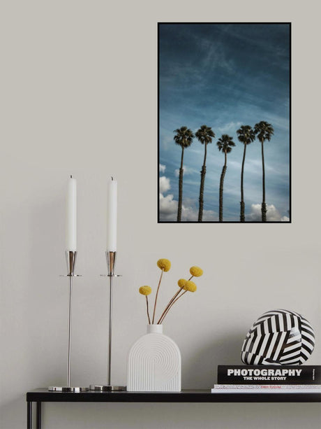 Five Palms Poster och Canvastavla