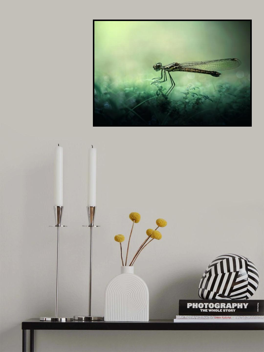 Fade Away Poster och Canvastavla