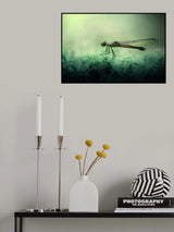 Fade Away Poster och Canvastavla