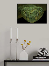 Nightclawler Poster och Canvastavla