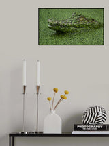 Stalker Poster och Canvastavla