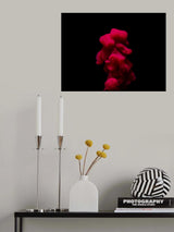 Abstract color paint splash Poster och Canvastavla