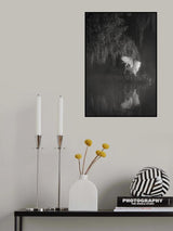 To Fly Away Poster och Canvastavla
