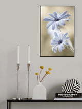 Cape daisies Poster och Canvastavla