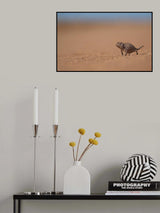Namaqua chameleon Poster och Canvastavla