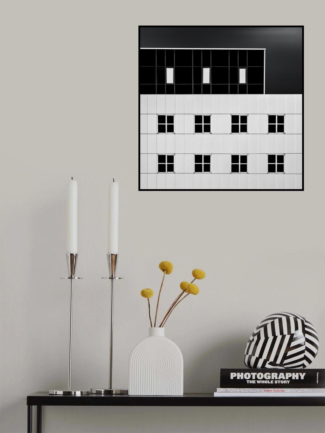 white vs black Poster och Canvastavla