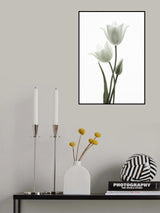 Tulips Poster och Canvastavla
