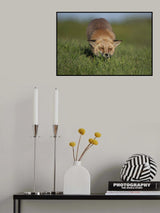 Waiting game Poster och Canvastavla