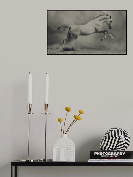 parical Poster och Canvastavla