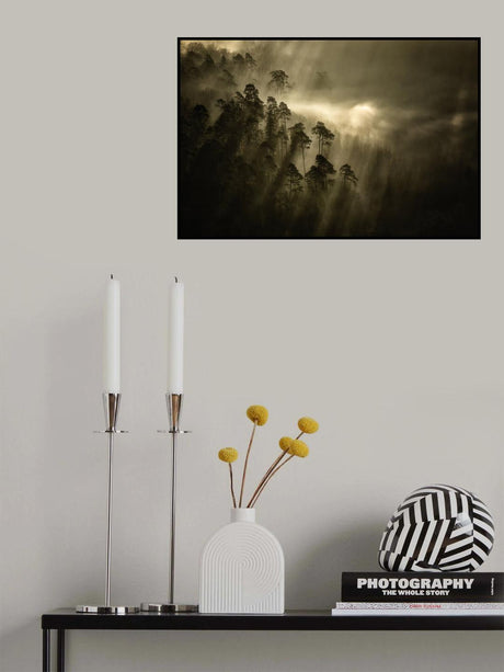 Streiflichter Poster och Canvastavla