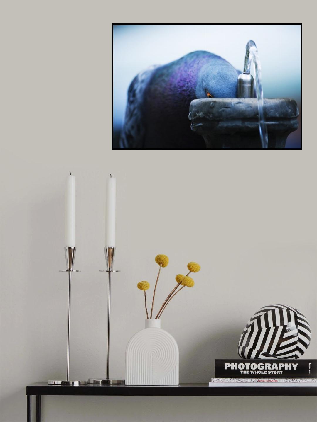 Pigeon Poster och Canvastavla