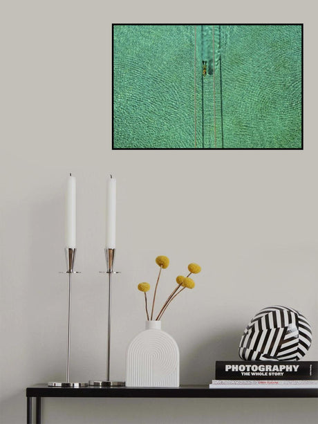 Swimmer Poster och Canvastavla