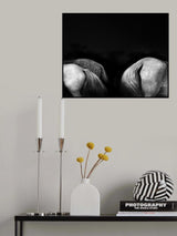 Tail ends Poster och Canvastavla