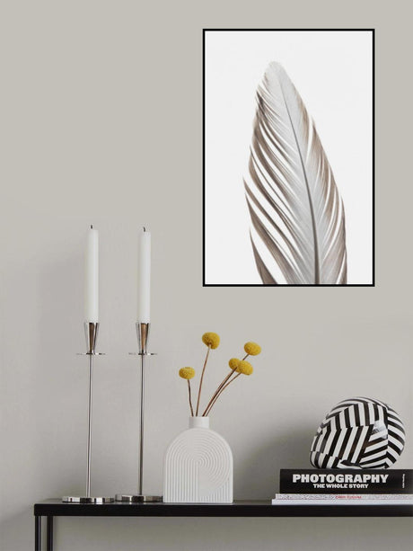 Feather_003 Poster och Canvastavla