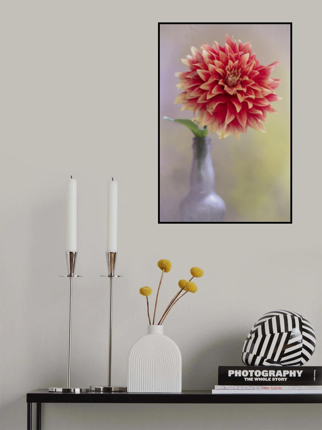 Dahlia in a Vase Poster och Canvastavla