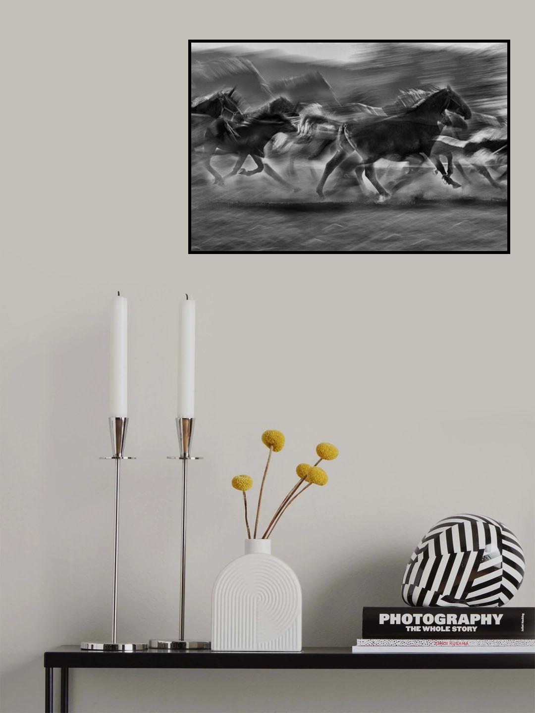 Stampedo Poster och Canvastavla