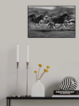 Stampedo Poster och Canvastavla