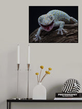 Giggles Poster och Canvastavla