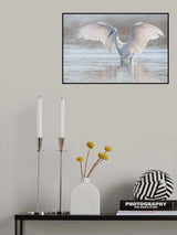 Little Egret fishing Poster och Canvastavla