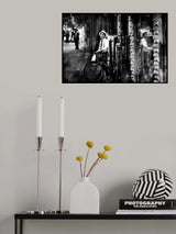 The bicycle Poster och Canvastavla