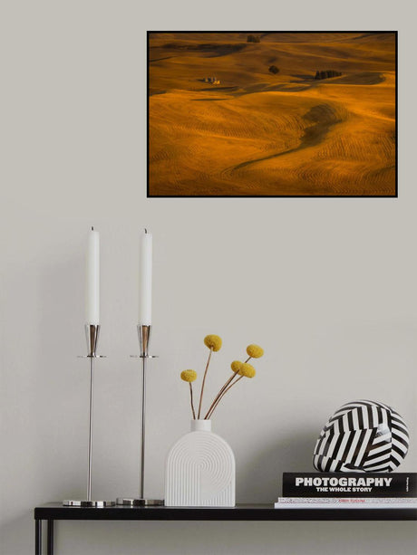 Wheat Field in Sunset Poster och Canvastavla