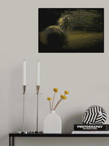 equs Poster och Canvastavla