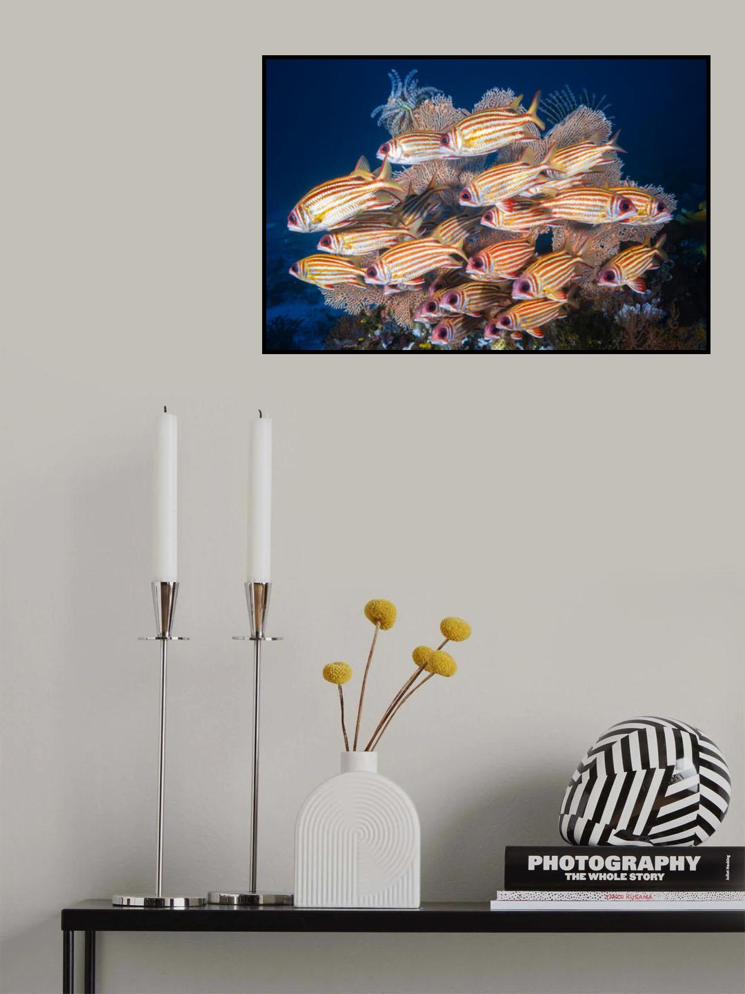 Yellow-tipped squirrefish Poster och Canvastavla
