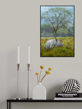 The Rhino Poster och Canvastavla