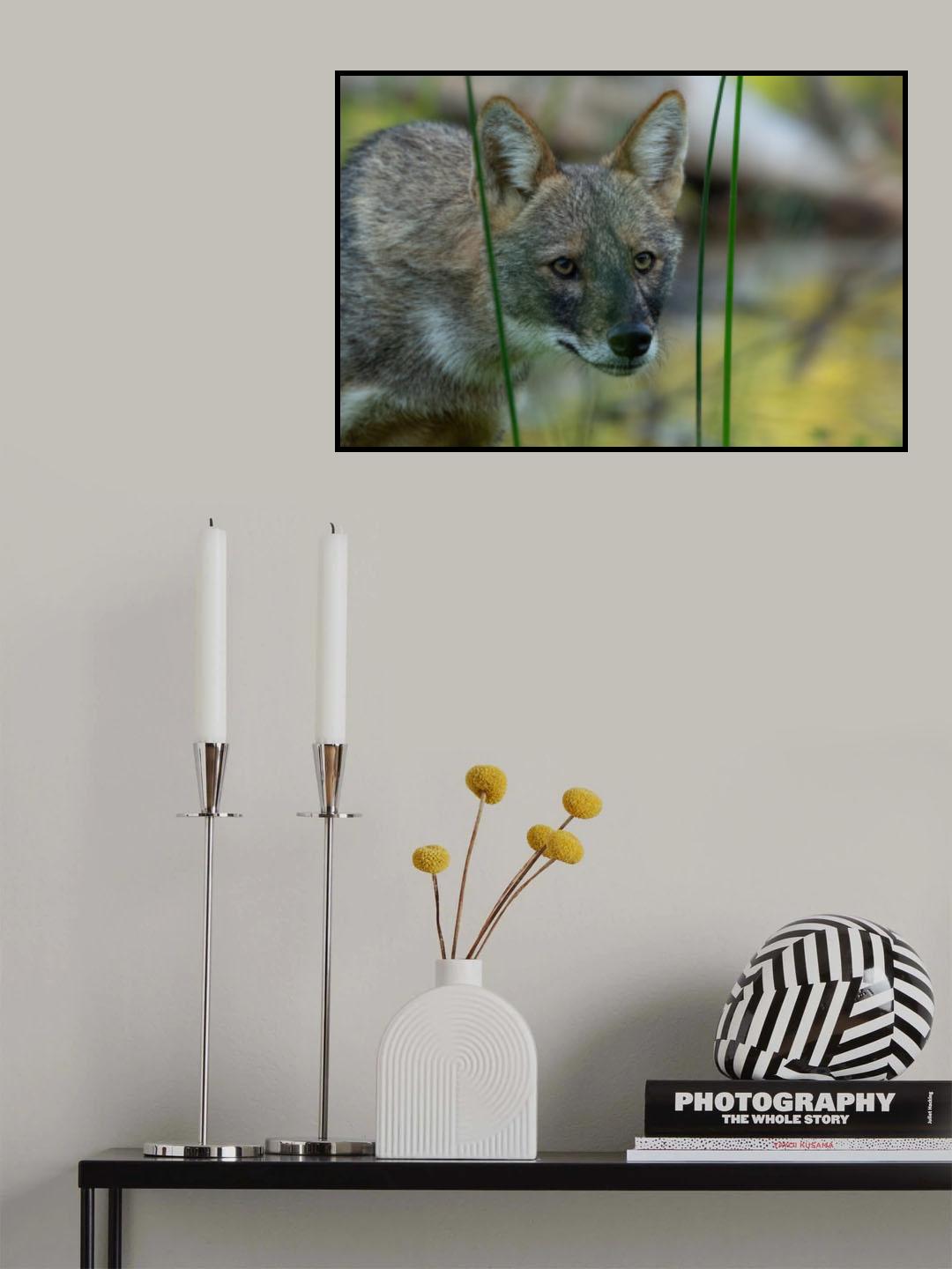 Framed Poster och Canvastavla