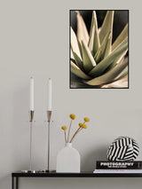 Desert Rose Poster och Canvastavla