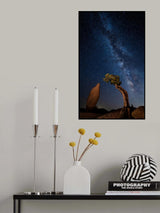 Friendship Poster och Canvastavla