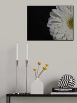beautiful flower Poster och Canvastavla