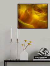rose Poster och Canvastavla