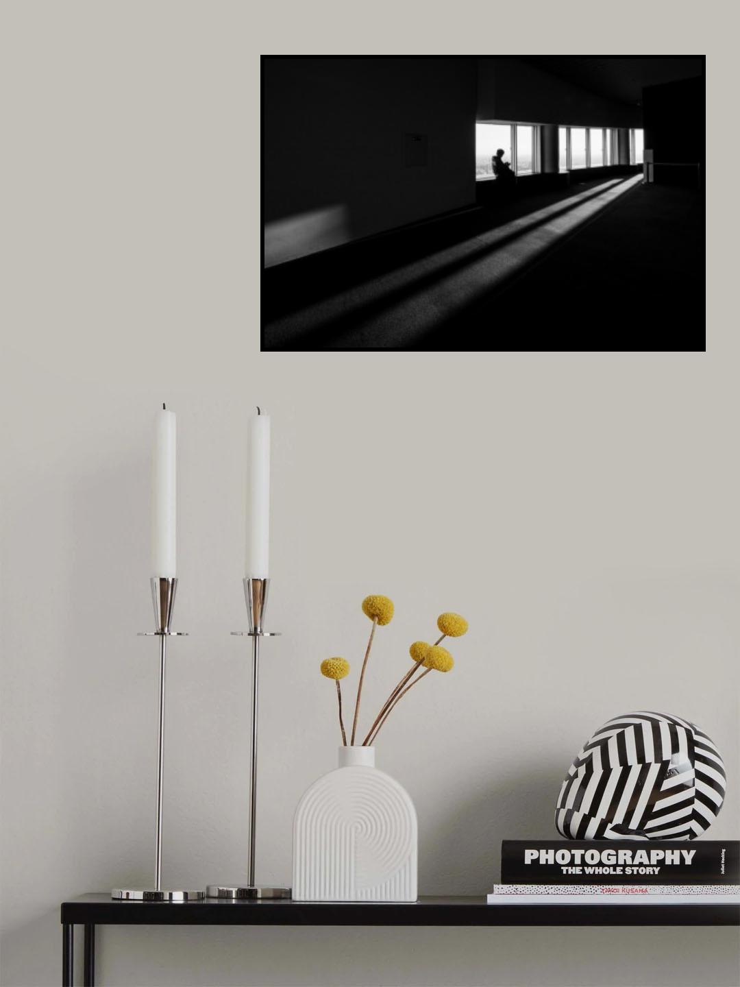 Monochrome reflection Poster och Canvastavla