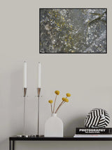 Tex Surface S45 Poster och Canvastavla