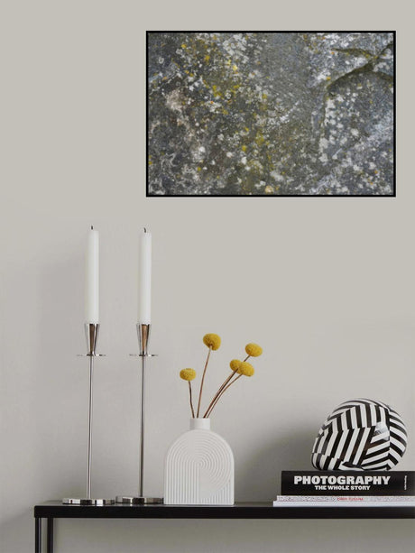 Tex Surface S45 Poster och Canvastavla